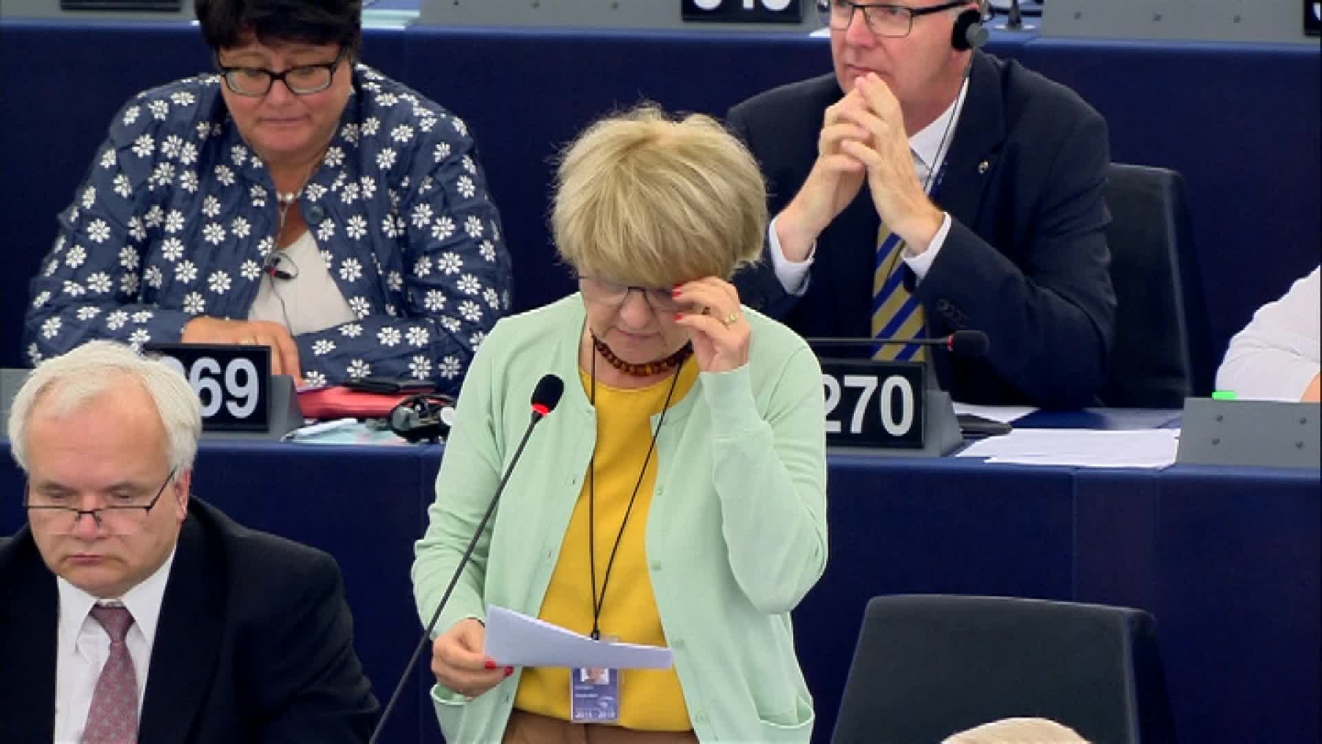 Composition of the European Parliament: extracts from the vote on the report by Danuta Maria HÜBNER (EPP, PL) and Pedro SILVA PEREIRA (S&D, PT)