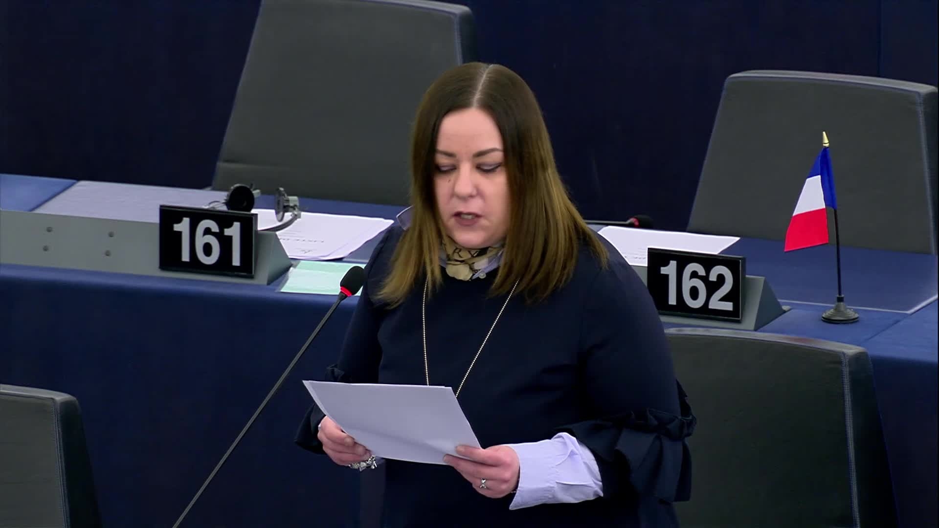 (07) EP Plenary session - Preparation of the European Council meeting of 22 and 23 March 2018. First round of political group speakers: Laura AGEA (EFDD, IT) (11:47 - 11:50)
