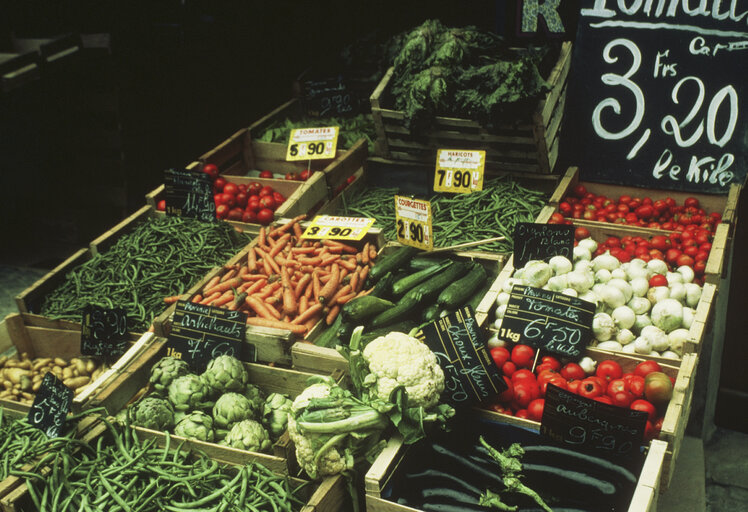 Foto 10: Vegetables