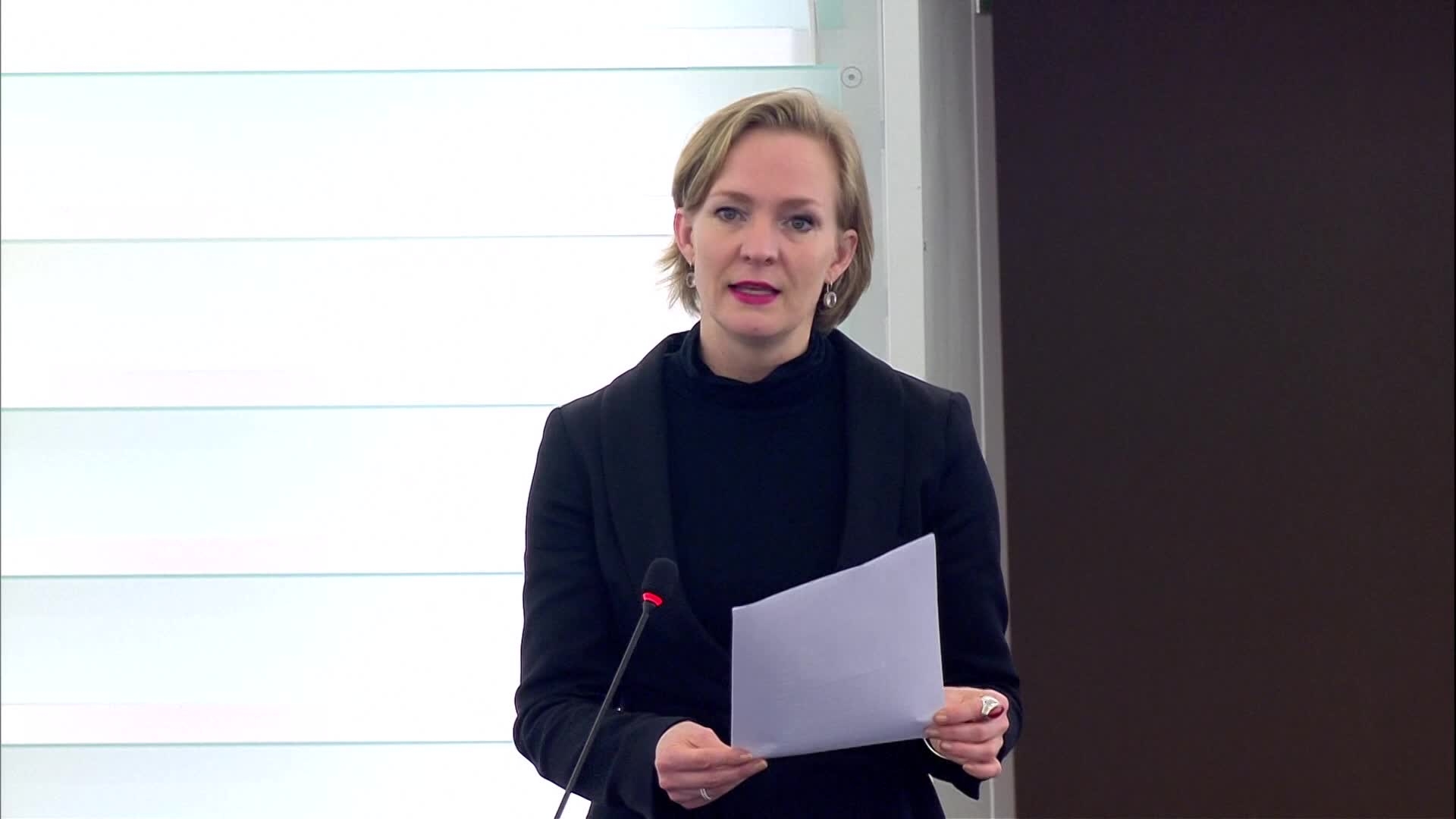 Cases of breaches of human rights, democracy and the rule of law: extracts from the debates