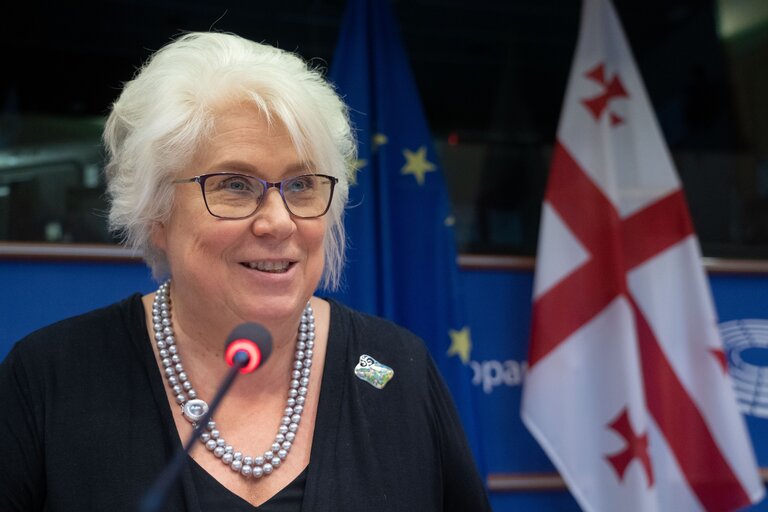 Fotografie 16: 10th meeting of the EU-Georgia PAC