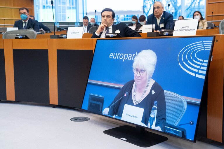 Fotografie 11: 10th meeting of the EU-Georgia PAC