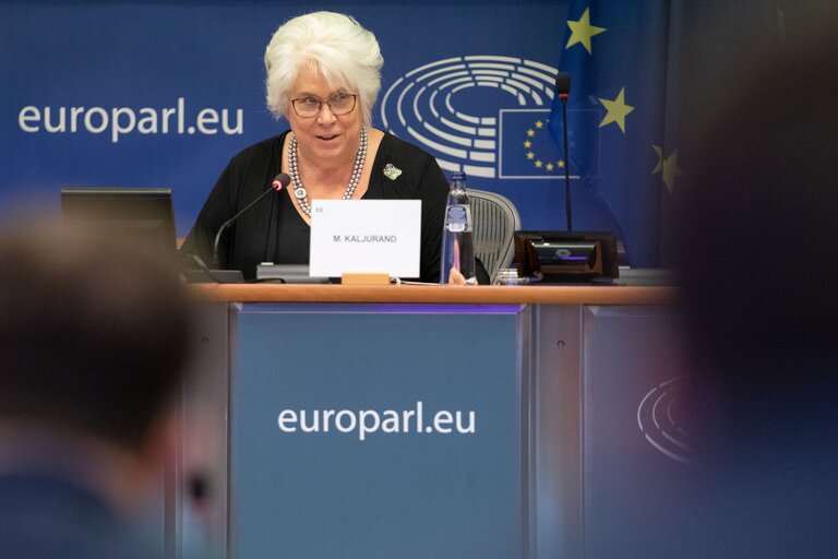 Fotografia 15: 10th meeting of the EU-Georgia PAC