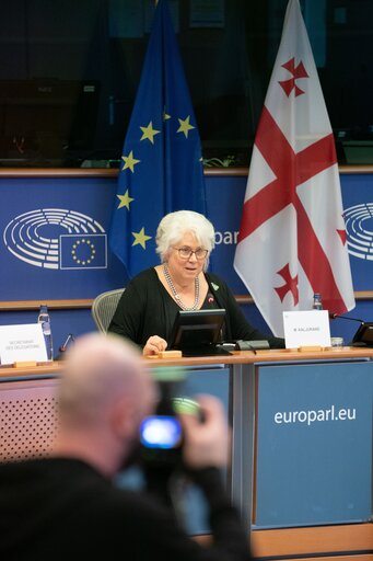 Photo 10 : 10th meeting of the EU-Georgia PAC