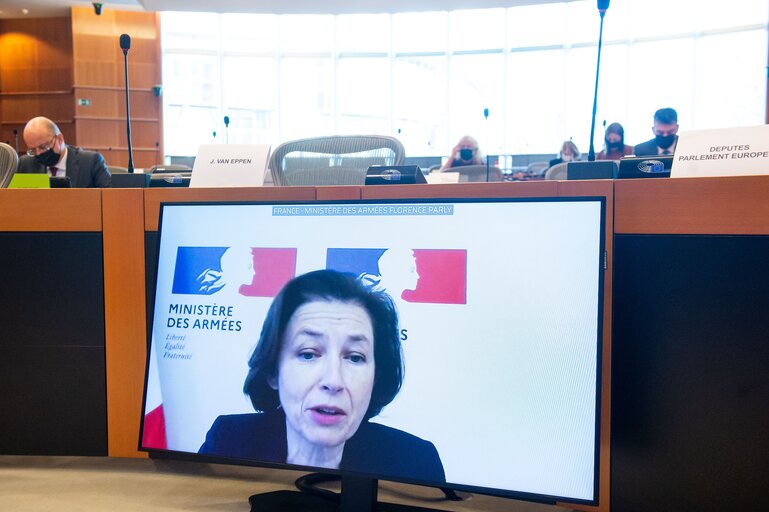 SEDE Subcommittee - Presentation of the French Presidency priorities