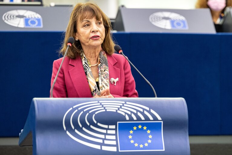 Φωτογραφία 12: EP Plenary Session - The situation in Nicaragua