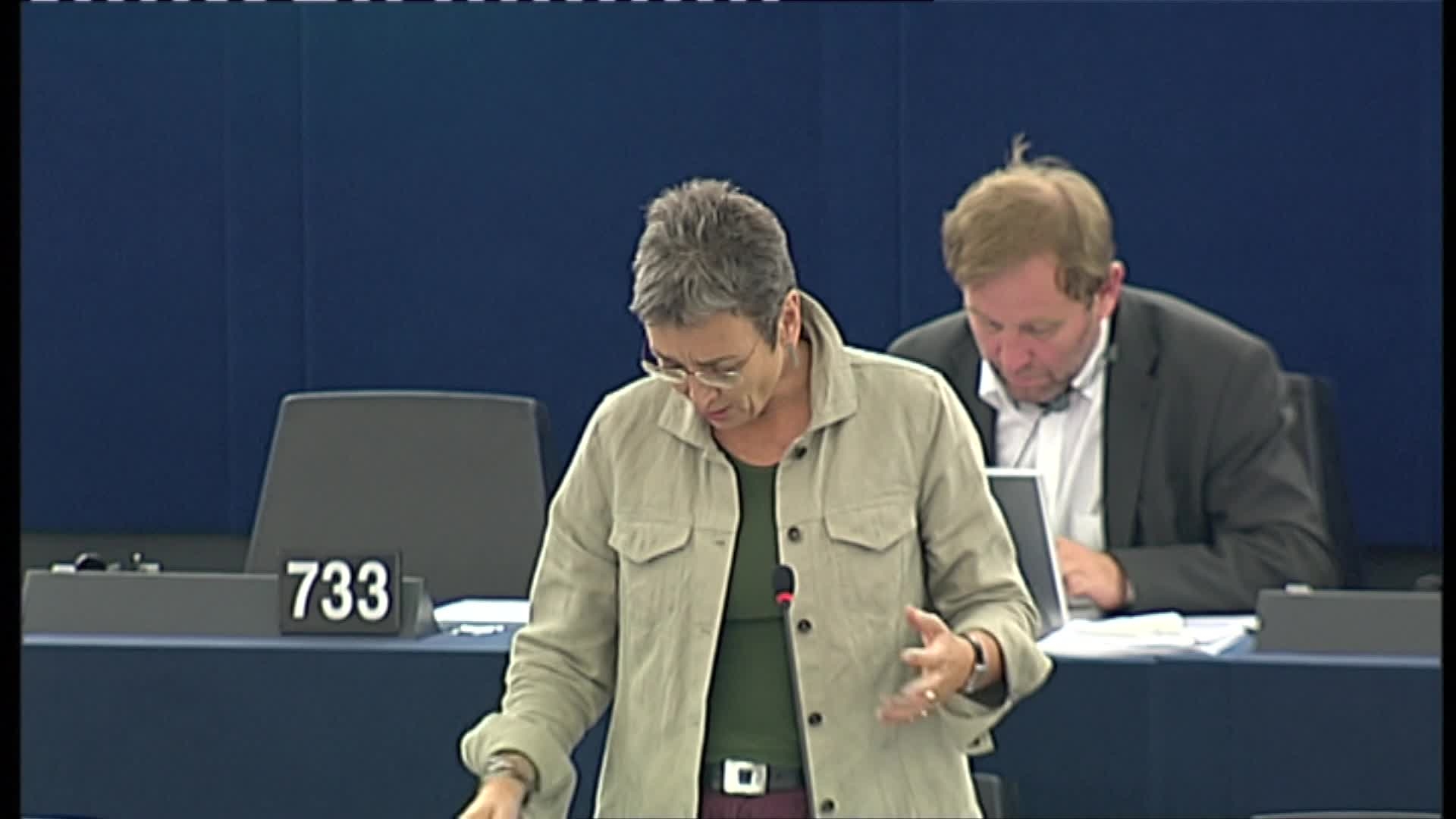 European External Action Service: extracts from joint debate