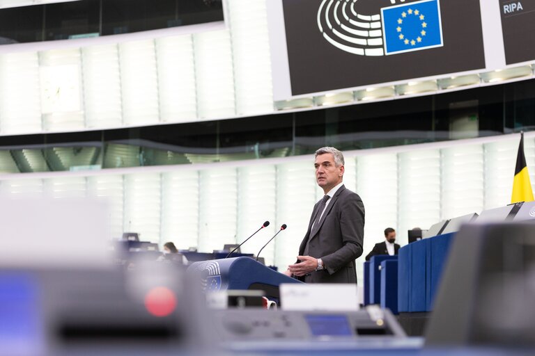 EP Plenary session - Implementation report on on-farm animal welfare