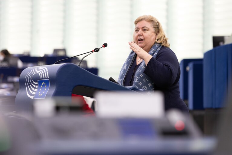 Fotografia 16: EP Plenary session - Implementation report on on-farm animal welfare