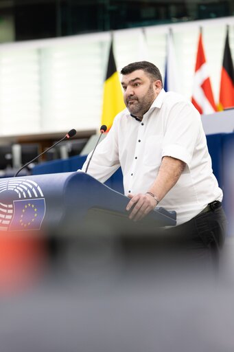 Fotografia 32: EP Plenary session - Implementation report on on-farm animal welfare