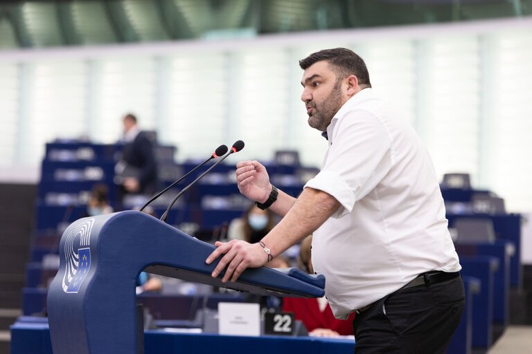 EP Plenary session - Implementation report on on-farm animal welfare