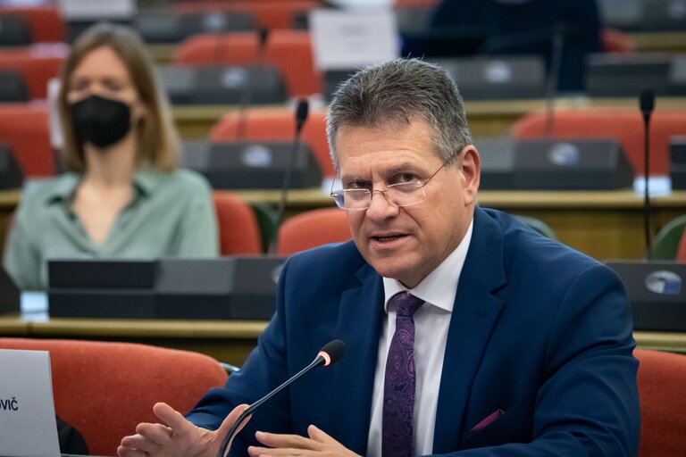 Photo 6 : United Kingdom Contact Group - Exchange of views with Maros SEFCOVIC, Commissioner for Interinstitutional Relations and Foresight and co-Chair of the Joint Committee on the Implementation of the Withdrawal Agreement