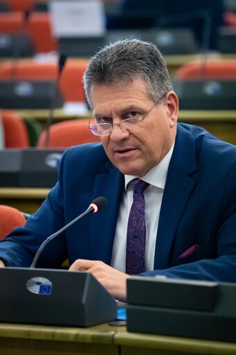 Photo 17 : United Kingdom Contact Group - Exchange of views with Maros SEFCOVIC, Commissioner for Interinstitutional Relations and Foresight and co-Chair of the Joint Committee on the Implementation of the Withdrawal Agreement