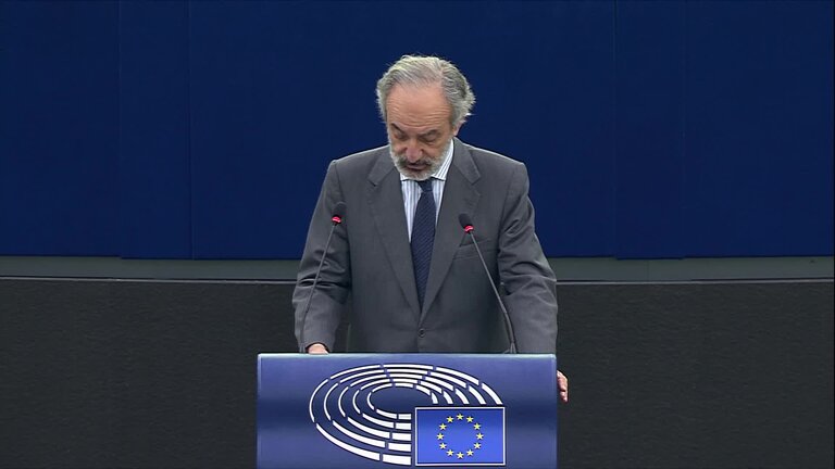 Joint debate - Common security and defence policy: MEPs debate (part 2/2)