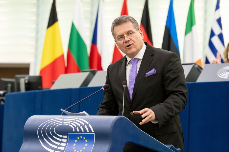 Fotografia 15: EP Plenary Session - Deliberations of the Committee on Petitions in 2020