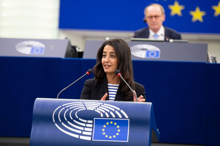 Photo 9 : EP Plenary Session - Stockating of the European Year of rail