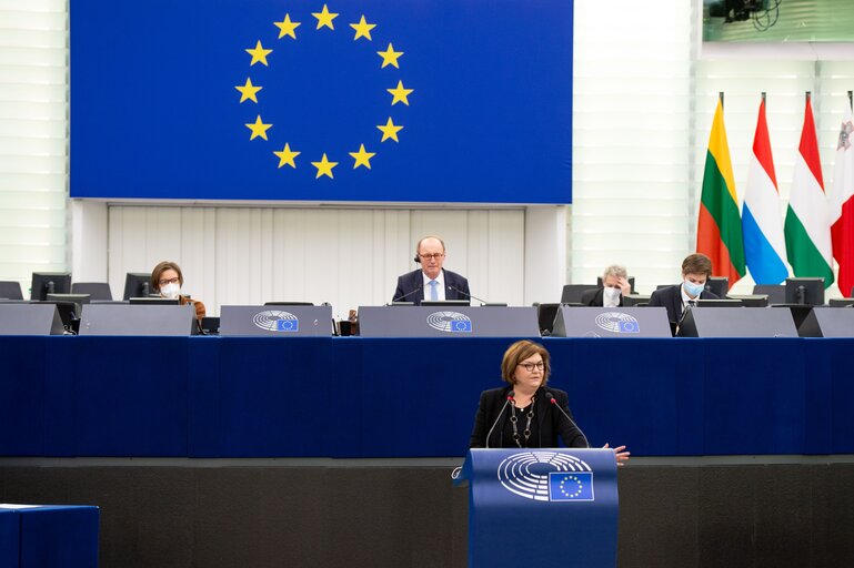 Photo 3 : EP Plenary Session - Stockating of the European Year of rail