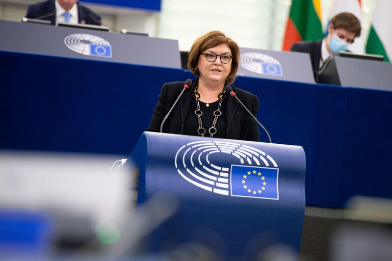 Photo 2 : EP Plenary Session - Stockating of the European Year of rail