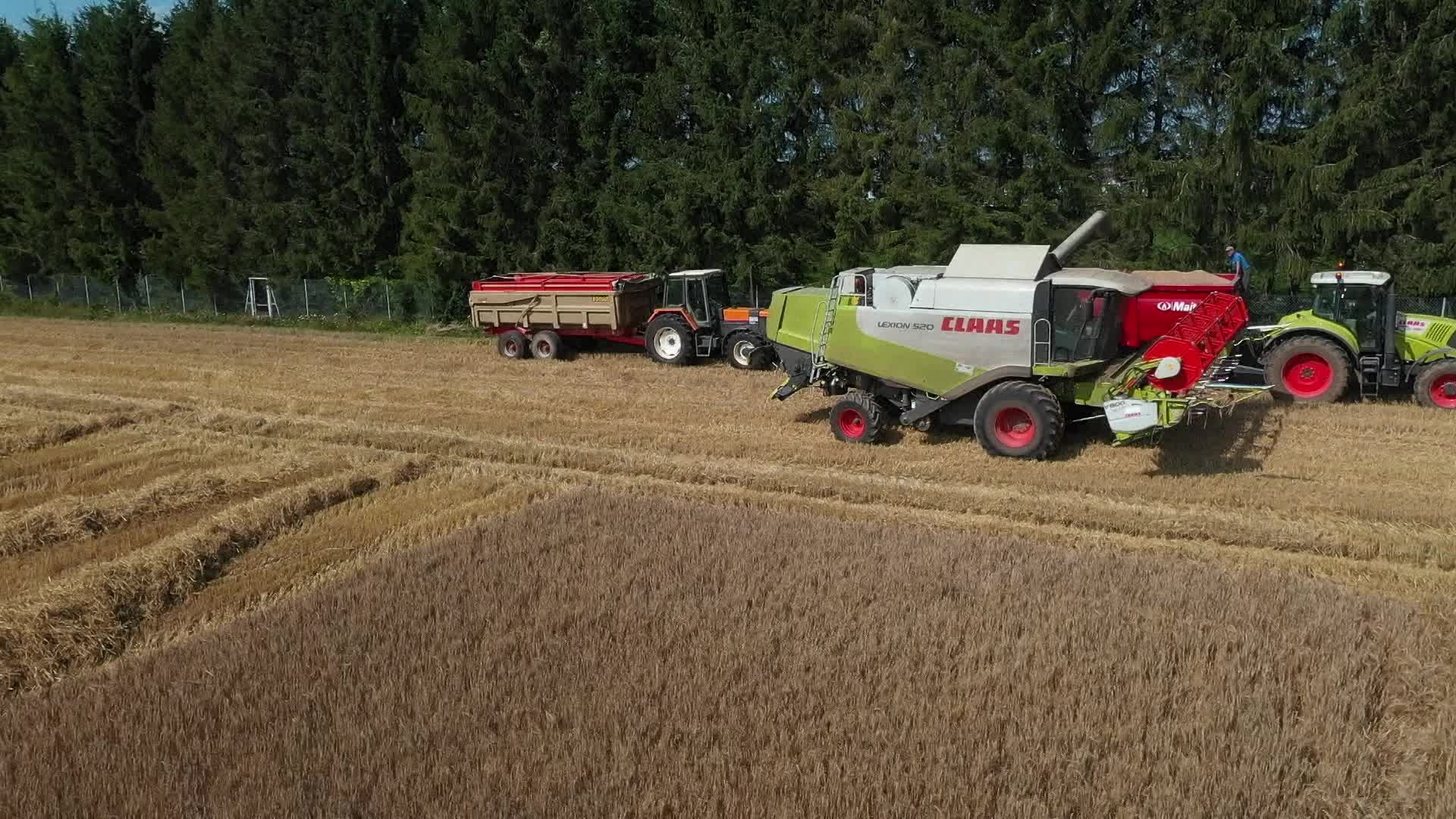 Infoclip: New EU farm policy - CAP reform