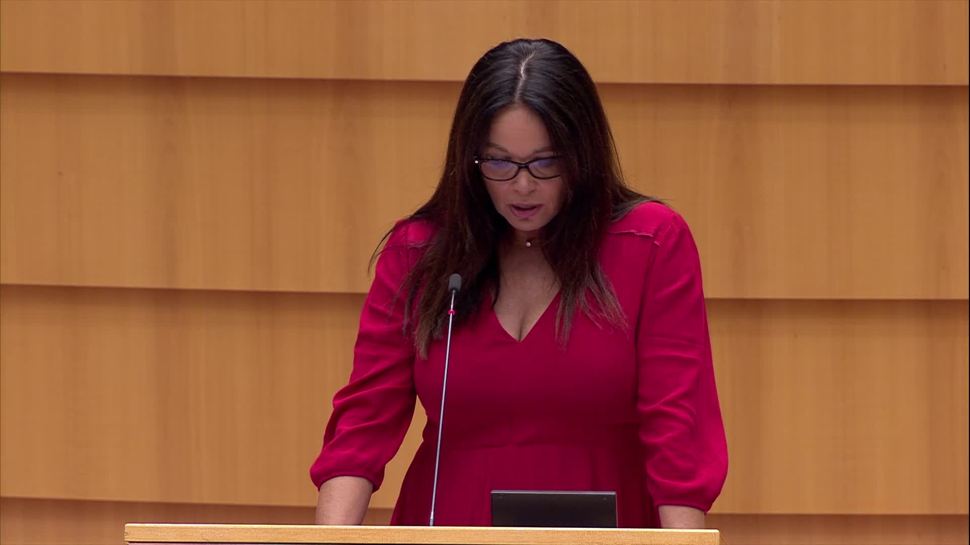 European Climate Law: MEPs debate 1/4 - continuation