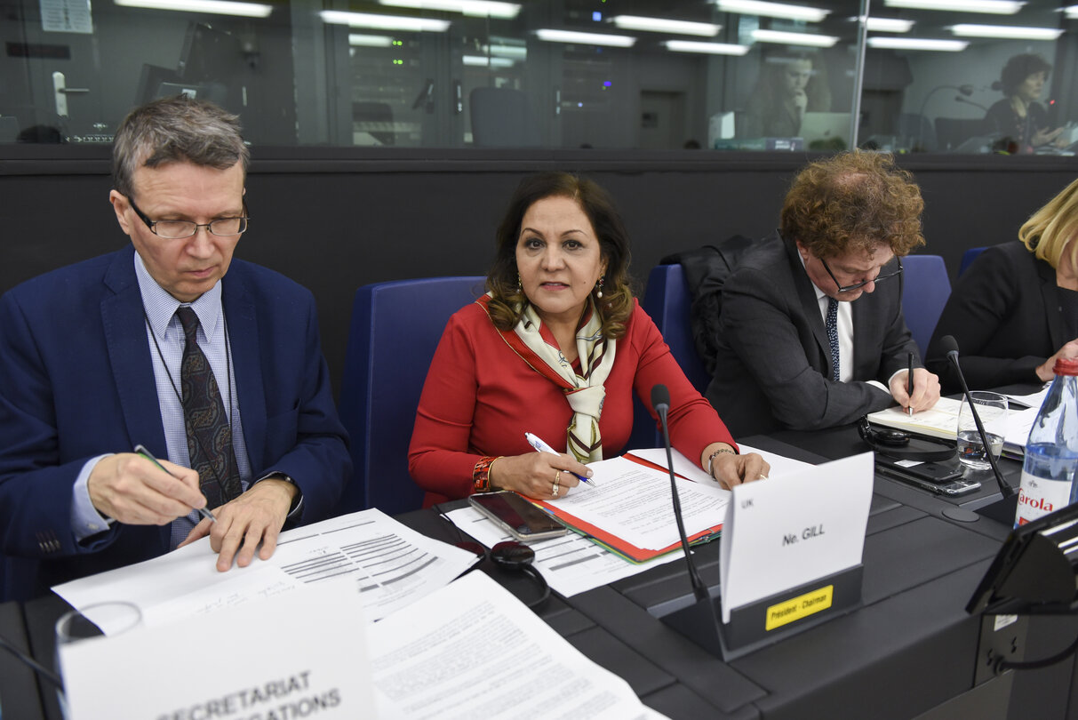 Neena GILL, chair of the EU-Japan Inter-parliamentary meets with the Japan delegation