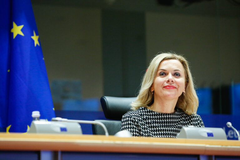 Fotografie 2: AFET - Committee on Foreign Affairs