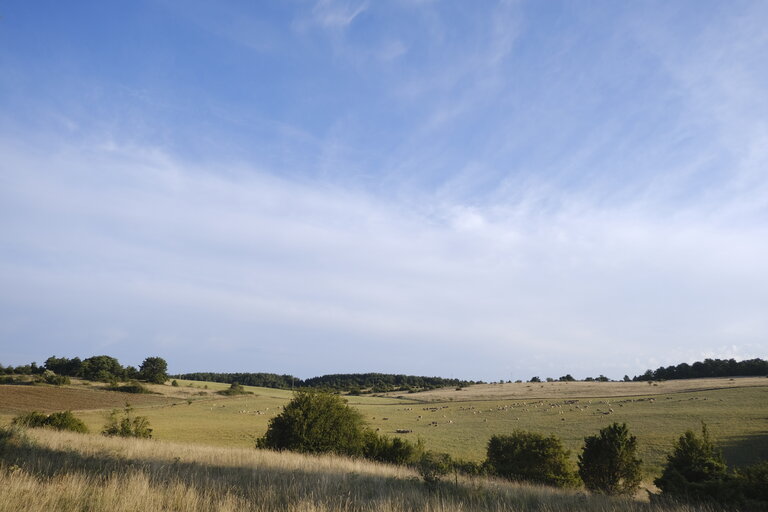 Fotogrāfija 1: European Regional Fund - Larzac Region