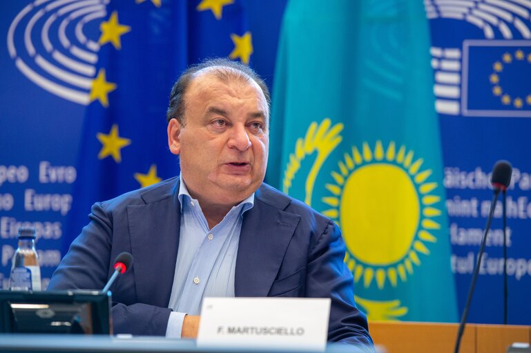 Fotografia 6: 18th EU - Republic of Kazakhstan Parliamentary Cooperation Committee (PCC)