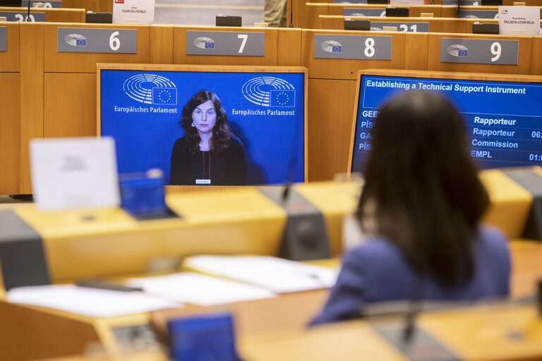 EP plenary session.- Establishing a Technical Support Instrument