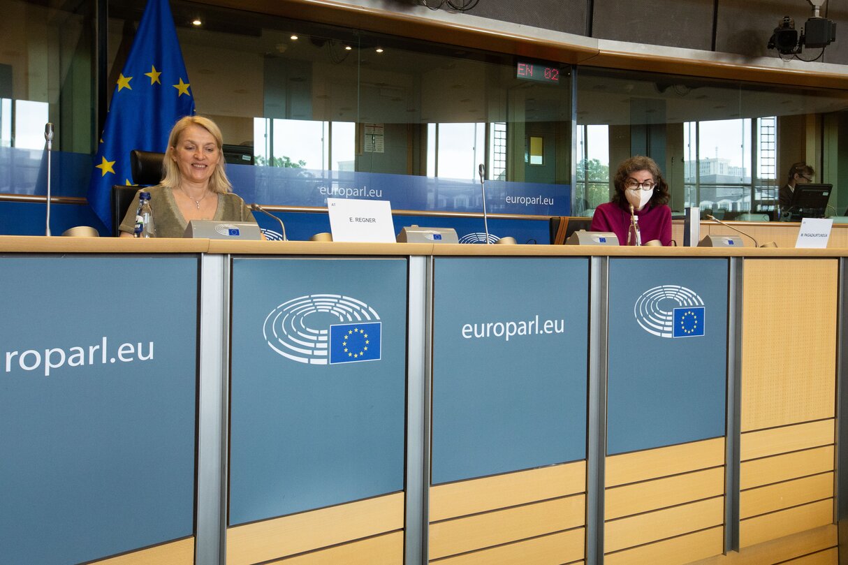 FEMM LIBE joint committee - Gender based violence as new area of crime