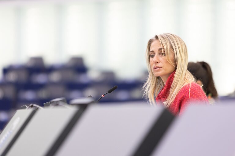 Photo 6: EP Plenary Session - Debates on cases of breaches of human rights, democracy and the rule of law - The human rights situation in Cameroon