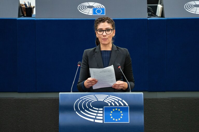 Fotografi 27: EP Plenary Session - Introduction of a European Social Security number with a personal labour card - O.Q. to Commission