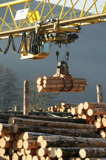 Foto 1: Crane handling wood in a sawmill