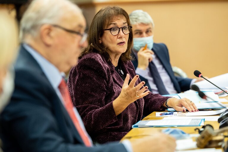 Foto 5: AFCO Committee - Interparliamentary Committee Meeting - The expectation of National Parliaments for the Conference on the Future of Europe