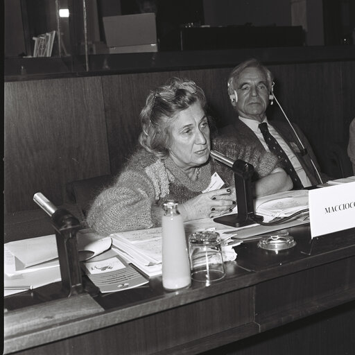 Fotografija 8: Socialists Meeting at the European Parliament in Brussels in December 1983