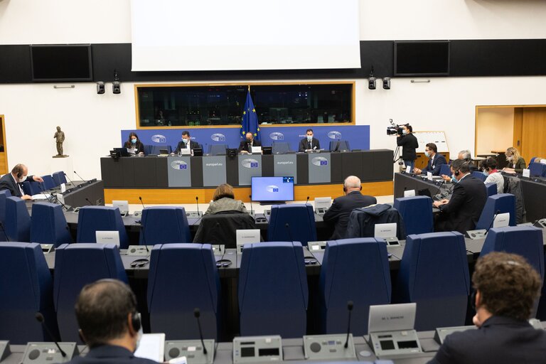 Fotografie 7: Conference on the Future of Europe (CoFoE) - Component National Parliaments