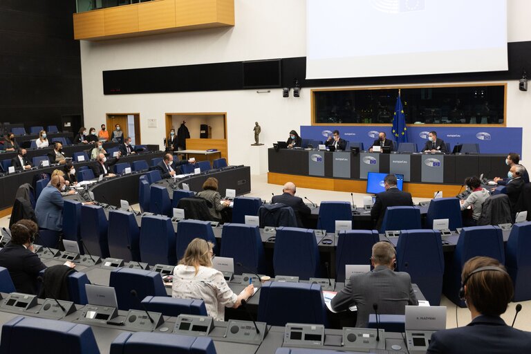 Fotografie 5: Conference on the Future of Europe (CoFoE) - Component National Parliaments