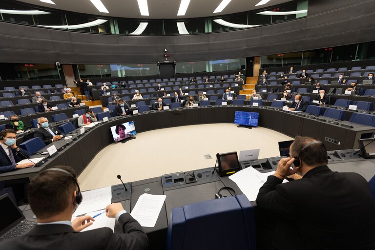 Fotografi 4: Conference on the Future of Europe (CoFoE) - Component National Parliaments