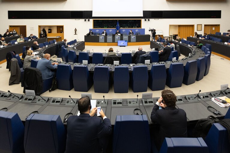 Fotografie 8: Conference on the Future of Europe (CoFoE) - Component National Parliaments