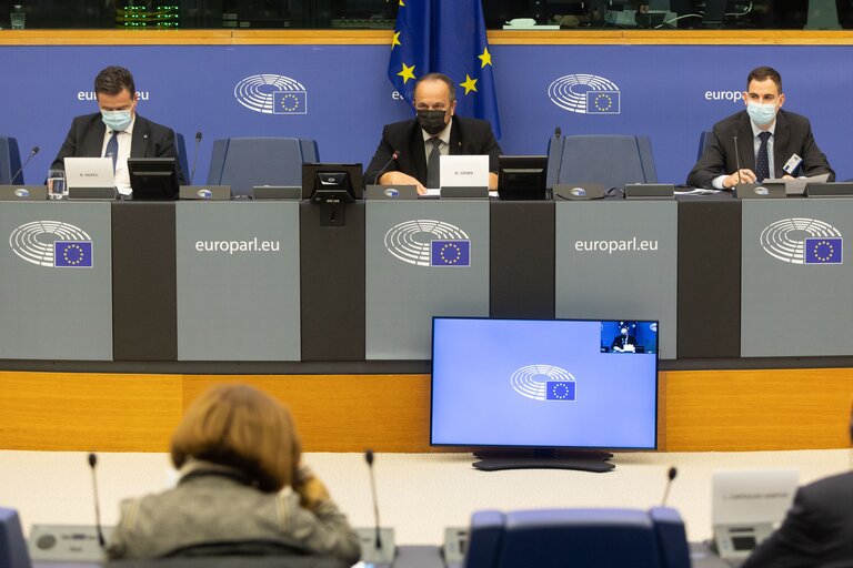 Fotografie 9: Conference on the Future of Europe (CoFoE) - Component National Parliaments