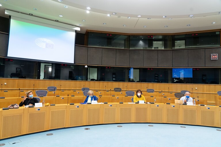 Foto 25: Former Members Association - FMA Reflection Group on the Future of the European Union