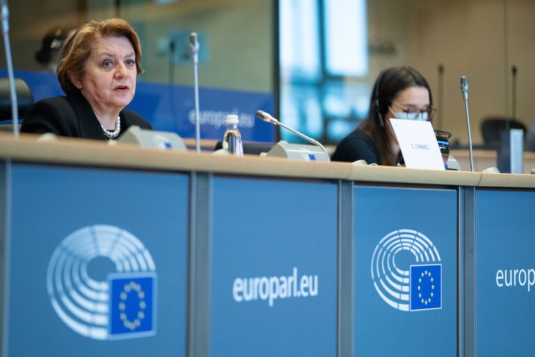 Fotografija 1: CONT Committee - Annual Report 2020 on the protection of the EU's financial interests