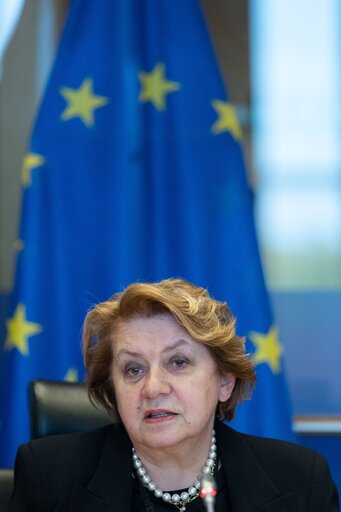 Fotografija 13: CONT Committee - Annual Report 2020 on the protection of the EU's financial interests