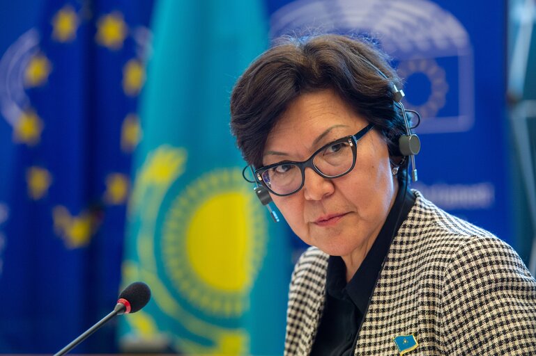 Fotografia 3: 18th EU - Republic of Kazakhstan Parliamentary Cooperation Committee (PCC)