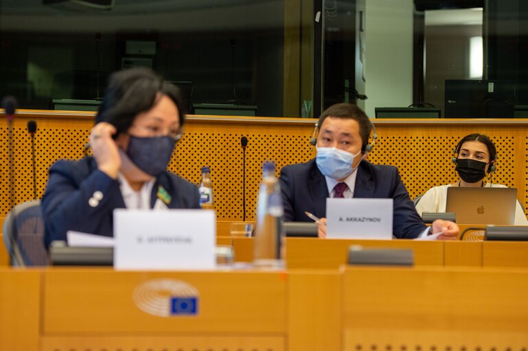 Fotografia 1: 18th EU - Republic of Kazakhstan Parliamentary Cooperation Committee (PCC)