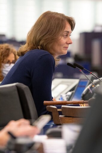 Fotografija 26: EP Plenary session - The Arctic: opportunities, concerns and security challenges