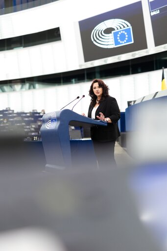 Foto 2: EP Plenary session - Rebuilding fish stocks in the Mediterranean