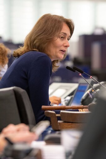 Fotografi 27: EP Plenary session - The Arctic: opportunities, concerns and security challenges