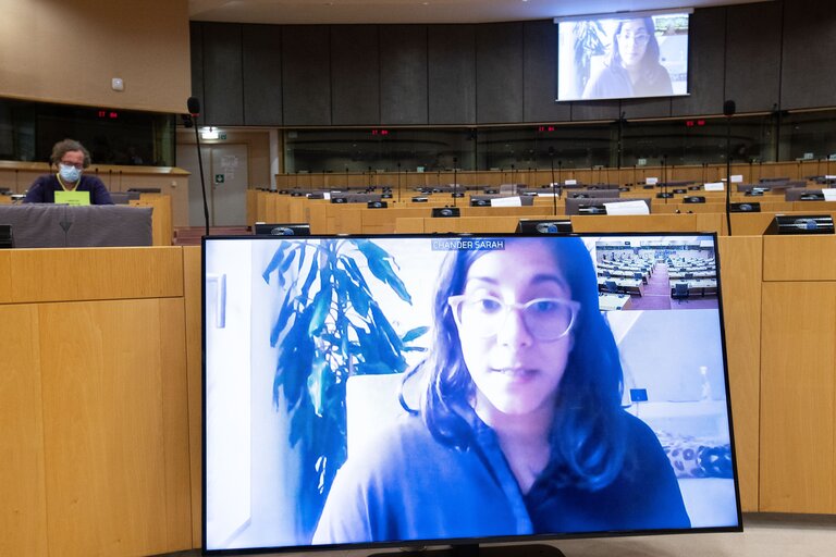 Fotografija 3: AIDA committee - Public Hearing on AI and the Data Strategy - Exchange of views with representatives of the industry and civil society