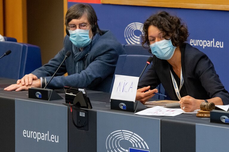 Conference on the Future of Europe (CoFoE) - Citizens' panel 1